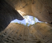 The Amphitheatre