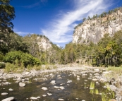 Carnarvon Gorge