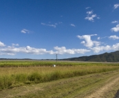 Seemingly endless sugar cane fields around Mackay