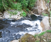 Finch Hatton Gorge