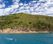 Snorkeling at Border Island