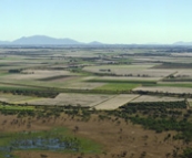 Panoramic of the cane fields coming into Townsville