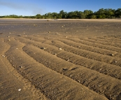 The beach in front of our campsite at Toomulla