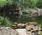 One of the swimming holes on the way to Jourama Falls
