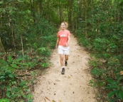 The hiking trail to the top of Murray Falls