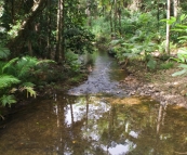 Picturesque Lacey Creek near Mission Beach