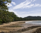 Rainforests down to the ocean at Bingil Bay