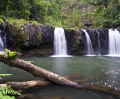 Majestic Nandroya Falls