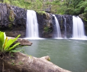 Majestic Nandroya Falls