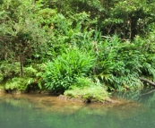 Bush Pool swimming hole near our Henrietta Creek campsite