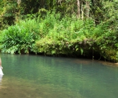 Sam hopping into Bush Pool swimming hole near our Henrietta Creek campsite