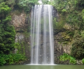 Millaa Millaa Falls