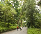 The Singapore Zoo: Lisa walking between exhibits
