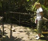 The Singapore Zoo: Lisa being followed by an Iguana in one of the free-ranging reptile exhibits