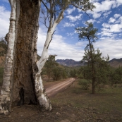 The road down into Bunyeroo Gorge