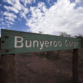 Bunyeroo Gorge