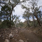The hiking trail along the dry bed of Wilcolo Creek
