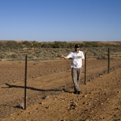 The dingo fence: the longest man-made structure on the planet