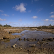 One of the few creeks containing water between William Creek and Oodnadatta