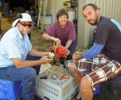 Rob, Carol and Sam cleaning Giant Crab