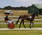 The King Island Races