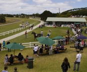 The King Island Races