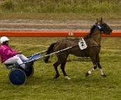 The King Island Races