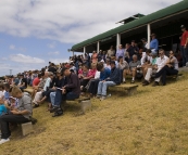 The King Island Races