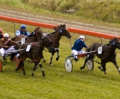 The King Island Races