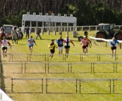 The Human Hurdle Race at the King Island Races