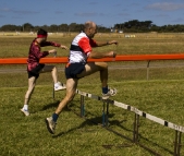 The Human Hurdle Race at the King Island Races