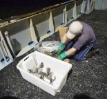 Russel getting salmon ready to be used as bait in the crayfish pots