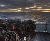 Sunrise over the crayfish pots on Kingfisher