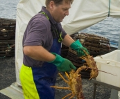 Russel removing crayfish from the pot