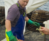 Russel removing crayfish from the pot