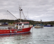 Crayfish boats in the Currie harbour