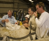 Sampling the finished product at the King Island kelp factory