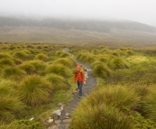 Lisa walking through the plains near Crater Creek