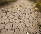 The boggy plains near Crater Peak