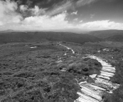 High country plains near Crater Peak