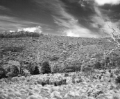 The Crater Lake hike