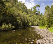 The Hellyer River next to our Hellyer Gorge campsite