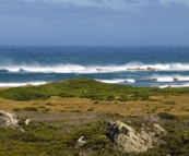 The powerful seas near Arthur River