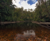 The Frankland River near Balfour