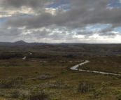 The road through the Arthur Pieman Conservation Area