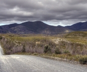 The road through the Arthur Pieman Conservation Area