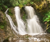 Hogarth Falls in central Strahan