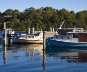 Fishing boats in the morning light in Strahan