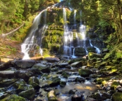 Nelson Falls in Cradle Mountain-Lake Saint Clair National Park