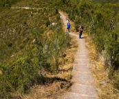 Carol, Greg and Lisa hiking to Donaghys Hill in Franklin-Gordon Wild Rivers National Park